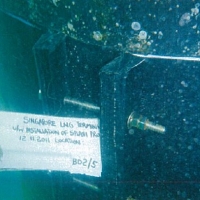 2-8-11