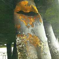 5-14-6